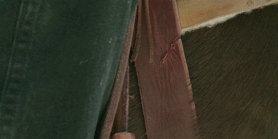 WAlker saddle for Cordell is cut and messed up for him to die. WAlker saddle for Cordell is cut and messed up for him to die.