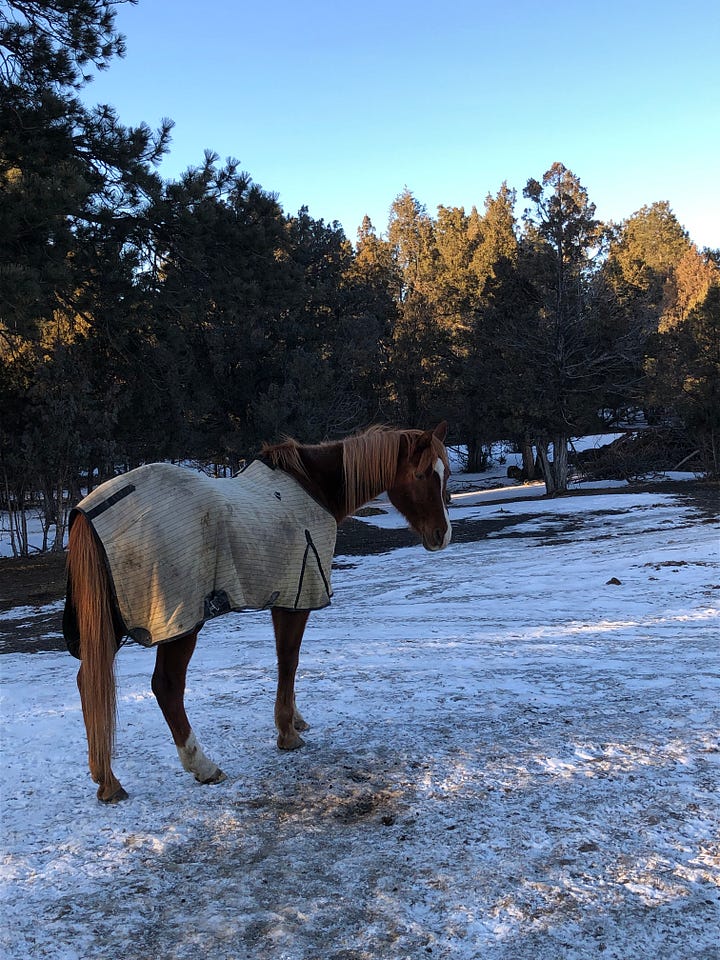 Wyoming winter