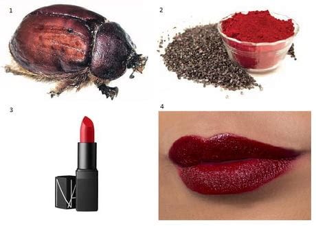 What Is Lipstick Made Out Of Bugs | Sitelip.org