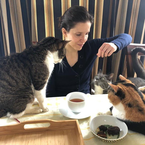 Minding Mittens by K. Colitti