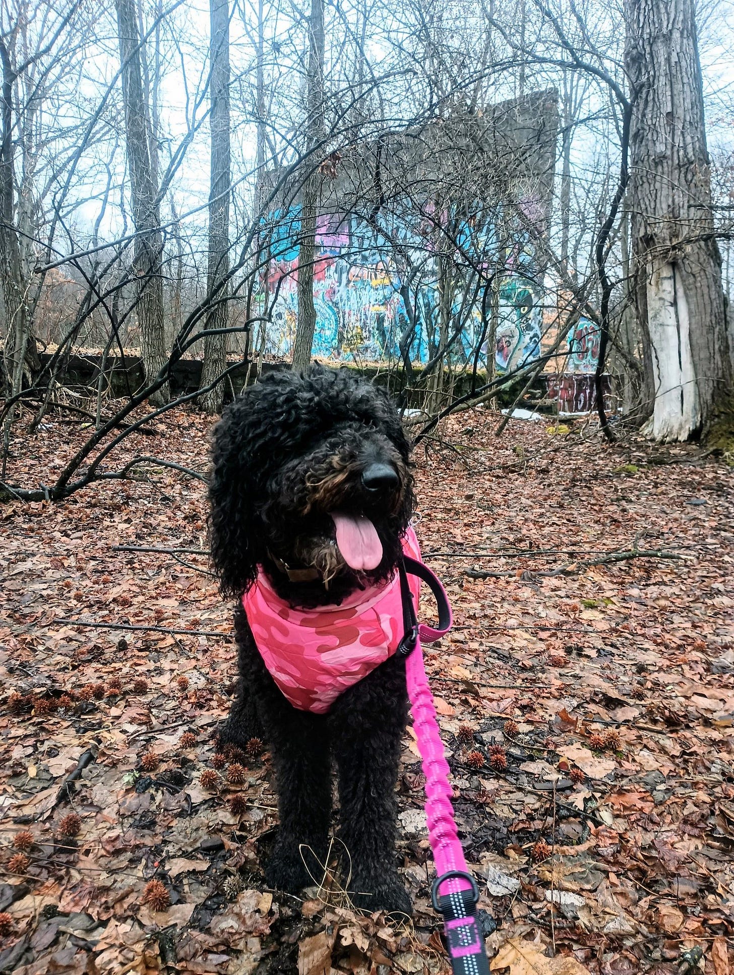 No photo description available. No photo description available.