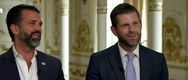Democrats To Investigate Trump’s Sons Corrupt Defense Contracts Democrats To Investigate Trump’s Sons Corrupt Defense Contracts