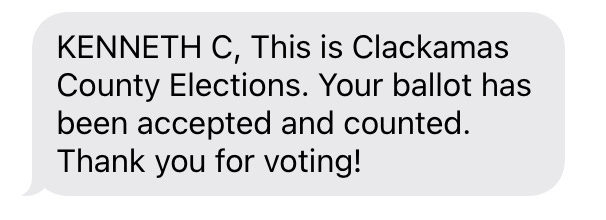 Ballot information, ballot, and confirmation