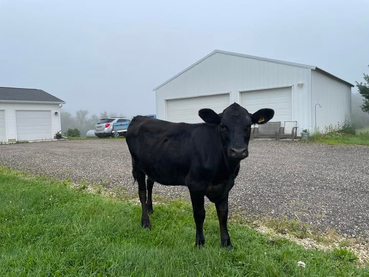 No photo description available.