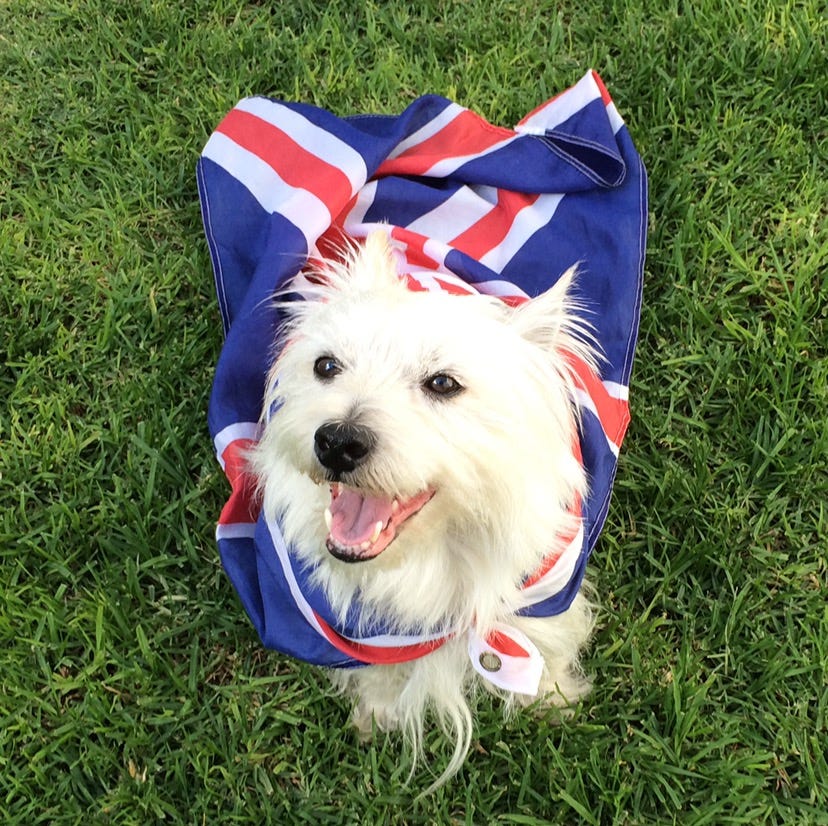 RockStroke’s Newsletter