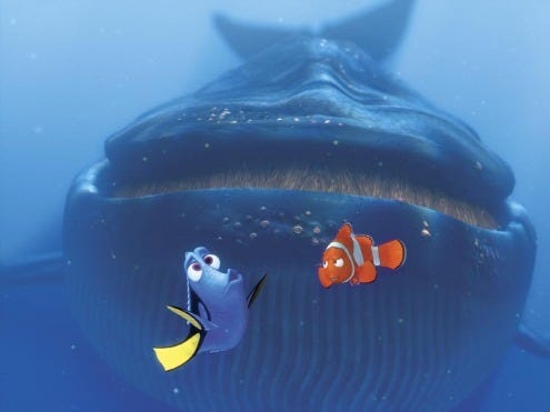 Finding Nemo inside