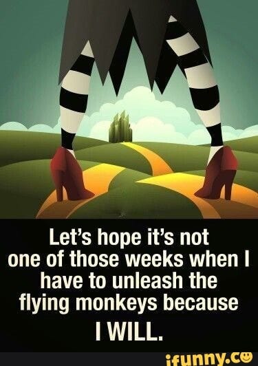 Flyingmonkeys memes. Best Collection of funny Flyingmonkeys pictures on ...