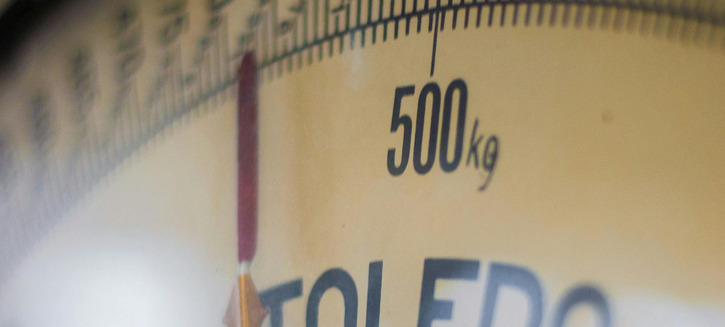 A close-up picture of a commercial scale, with the needle near 500kg.