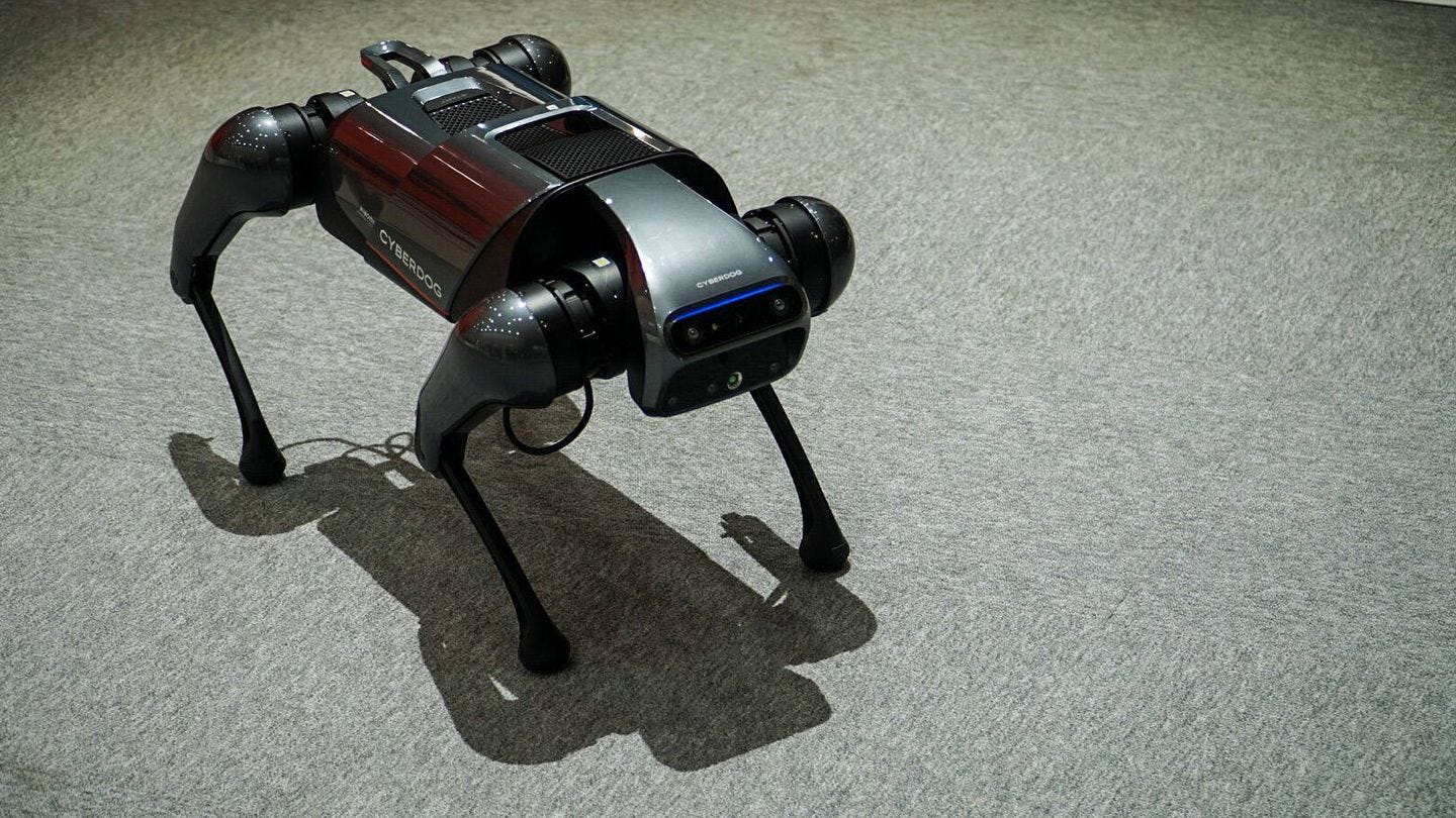 El perro 'carlino' de Xiaomi. (M. McLoughlin)