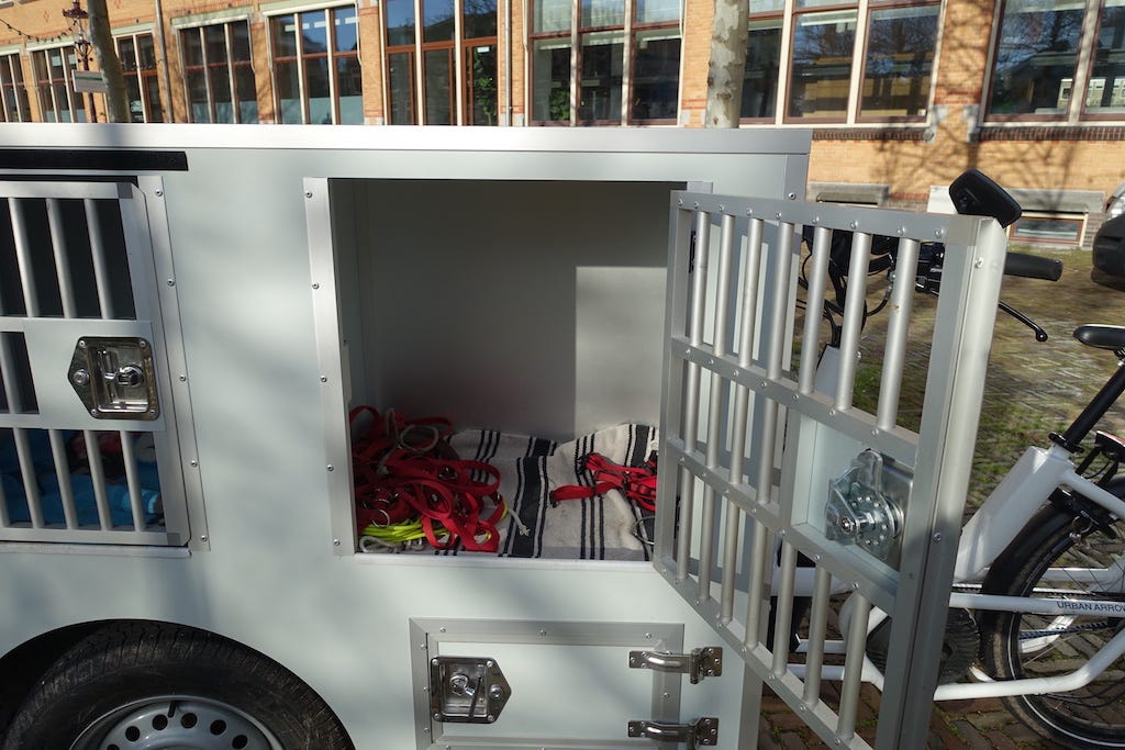 A close up of the inside of a dog crate. Each crate is aroung 50cm square. On the floor is a rug.