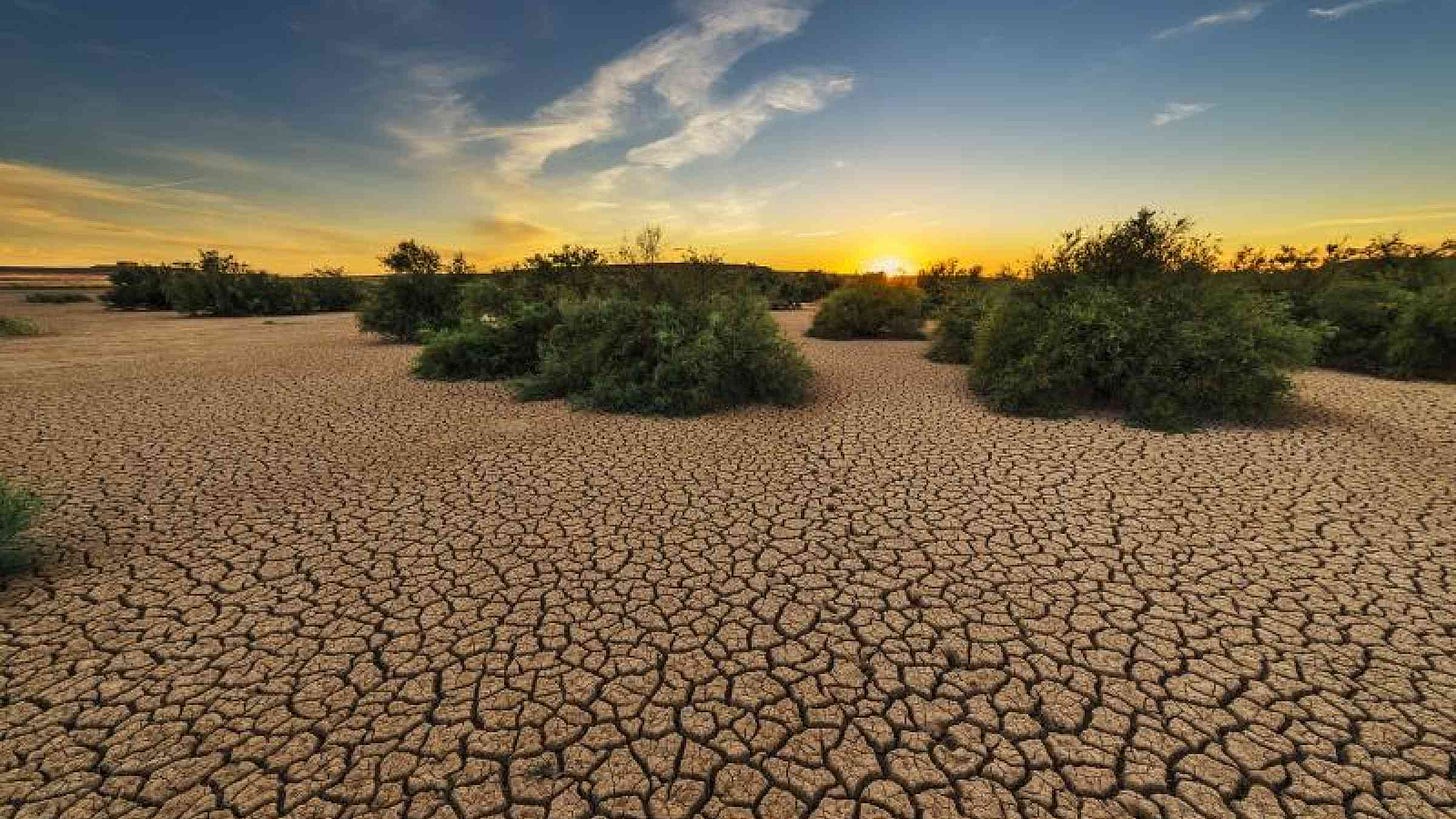 Recent Australian droughts may be the worst in 800 years | PreventionWeb