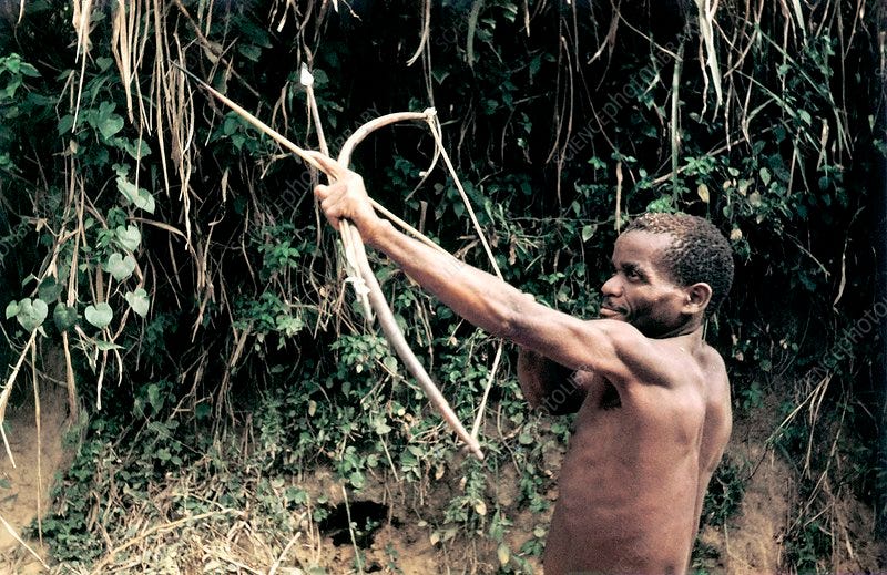 bambuti - Keyword Search - Science Photo Library