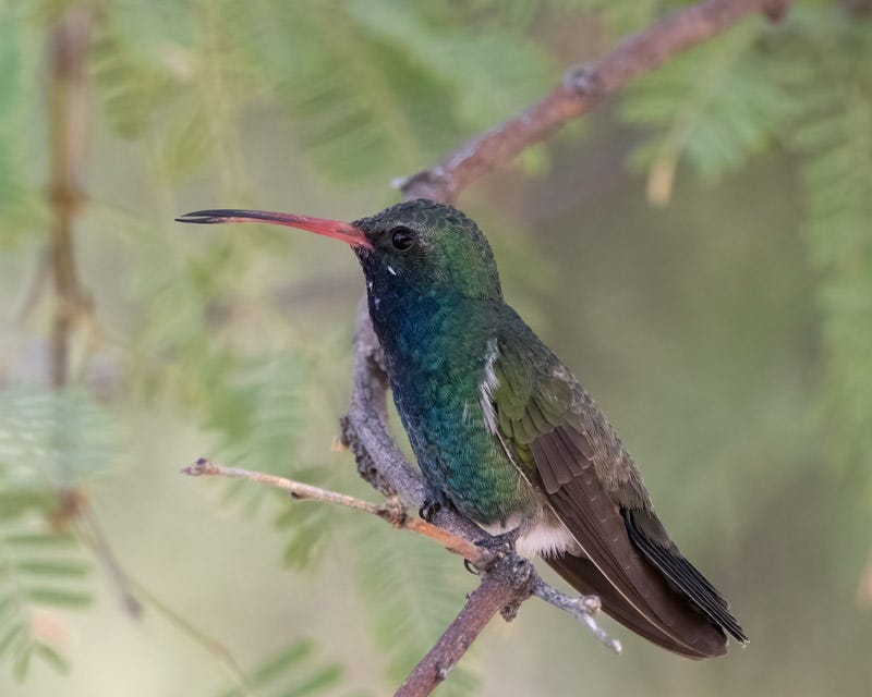 20241009-MBY-190-Edit.jpg Oct 9.jpg 20241009-MBY-190-Edit.jpg Oct 9.jpg