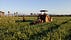 The Farm Ecologist