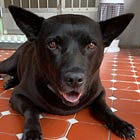 我在寫作上犯過的 13 個錯誤