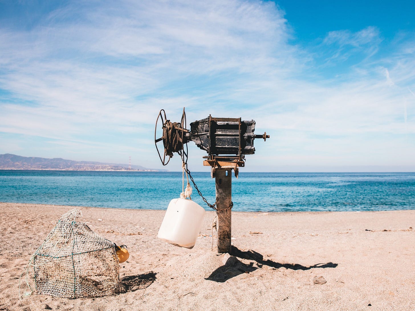 Image by David Alfons via Unsplash.