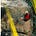 Climb Explorers's avatar