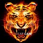 Wildcat Cafe TV's avatar