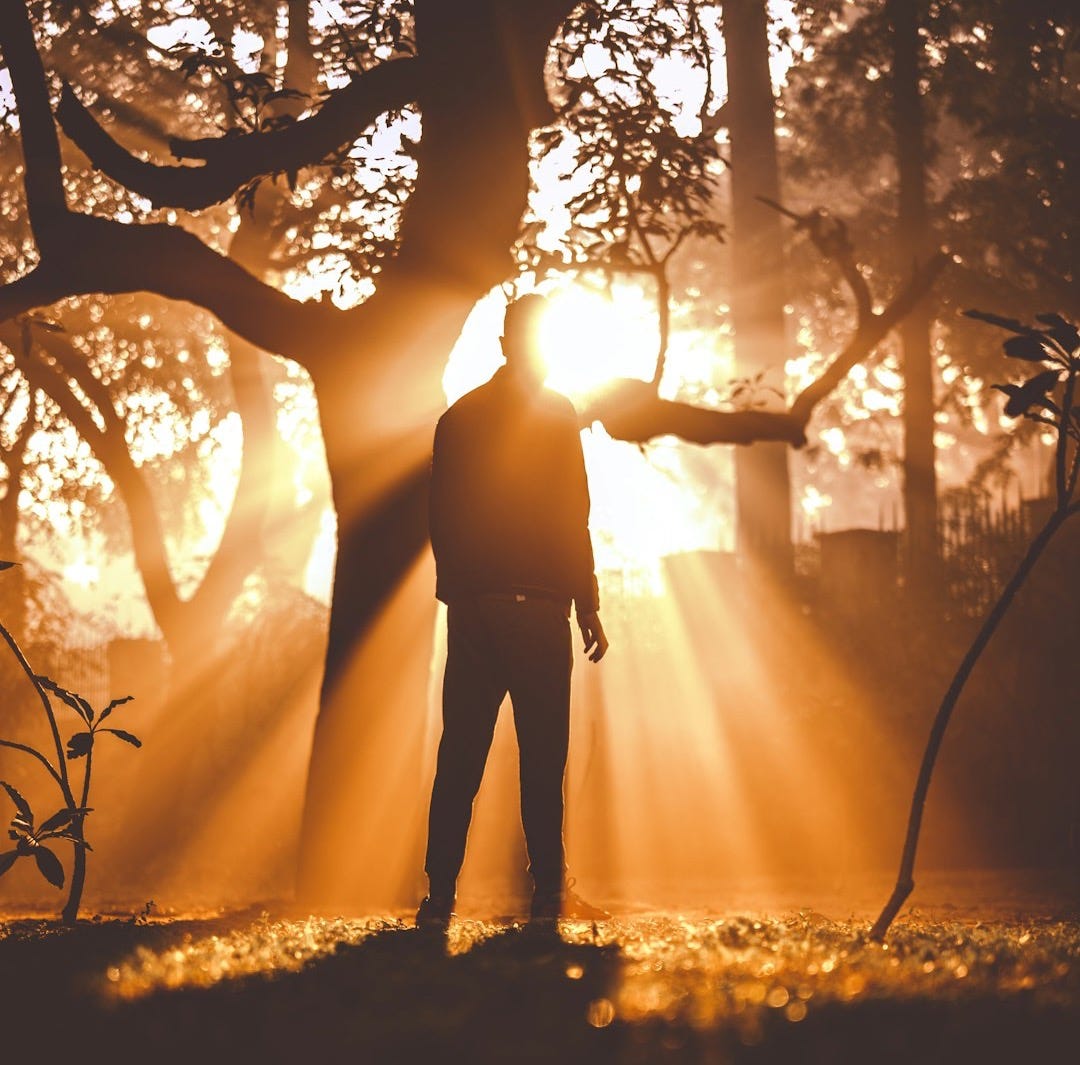 man standing near tree