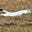 Stoat's avatar