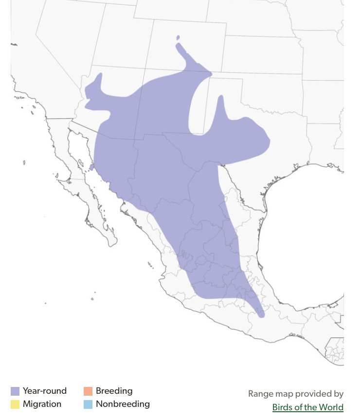 Screenshot 2025-05-18 at 3.03.20 PM.png Screenshot 2025-05-18 at 3.03.20 PM.png