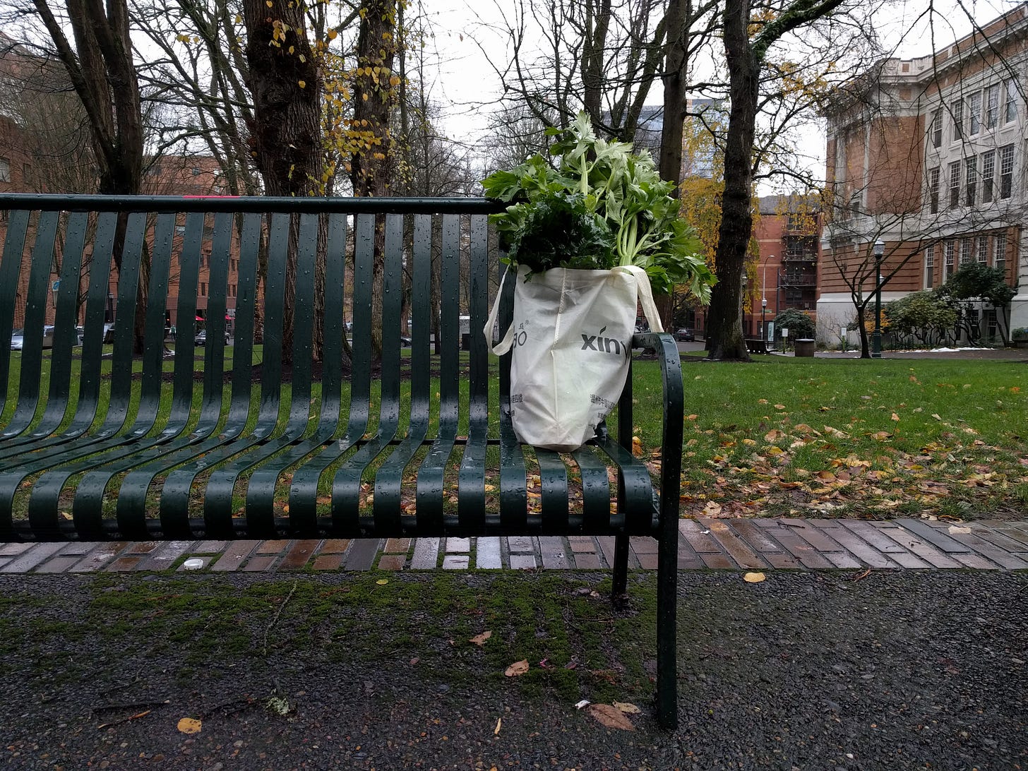 produce bag sitting on a park bench in the autumn