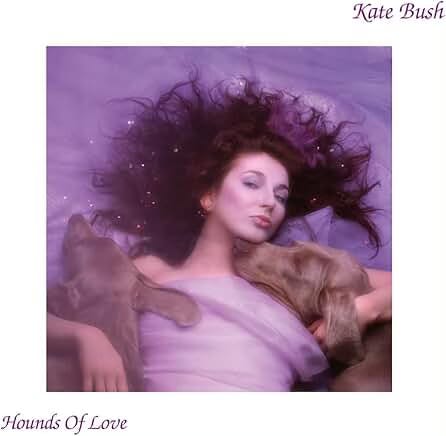 Kate Bush/ Hounds of Love RSD 10インチレコード Kate Bush/ Hounds of Love RSD 10インチレコード Hounds of