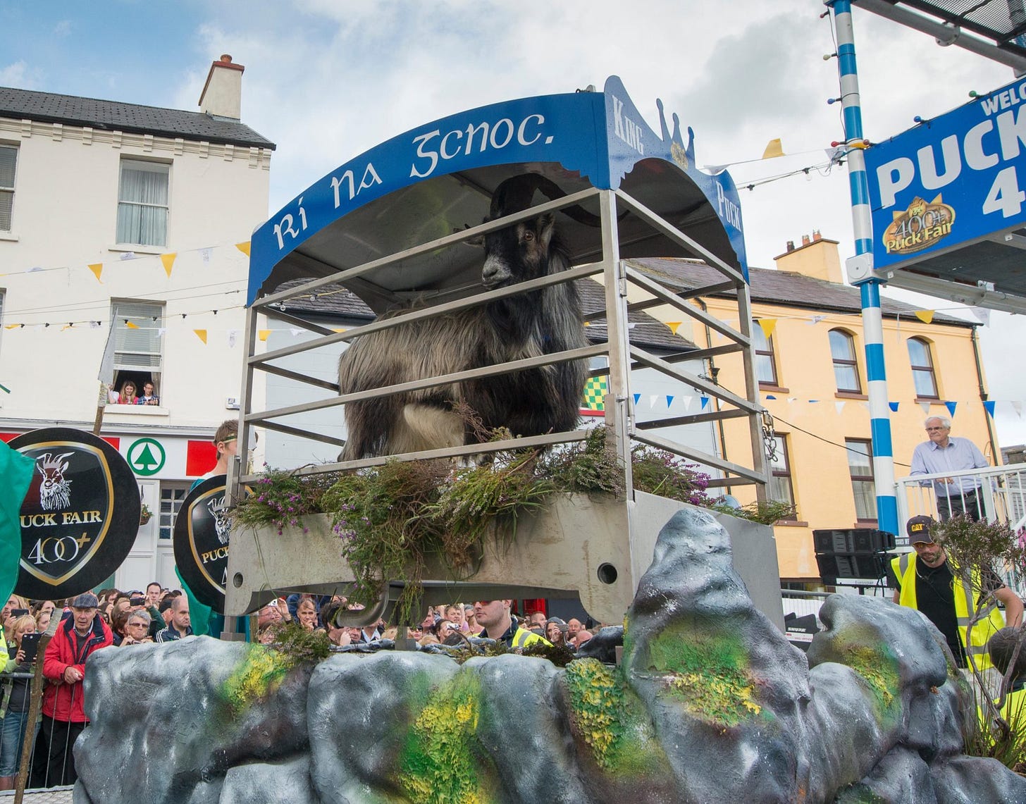 King Puck during the 2014 Puck Fair in Killorglin, Co Kerry. King Puck during the 2014 Puck Fair in Killorglin, Co Kerry.