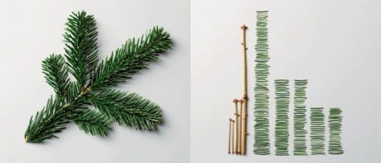 knolling-fotografia-11