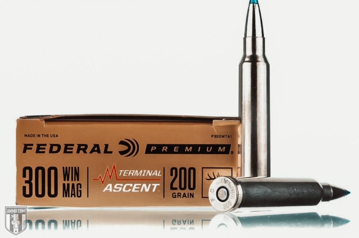 shop 300 win mag ammo