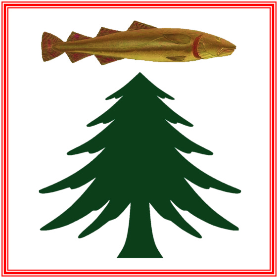 History Looking Ahead