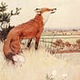 Anne Louise Avery's avatar