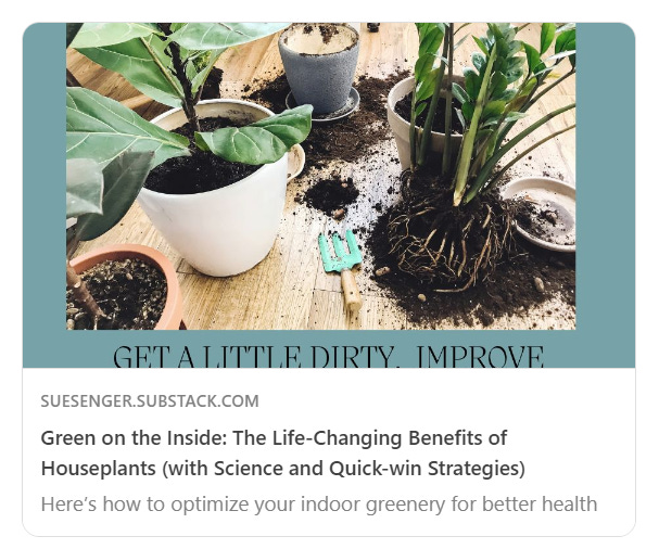 tranplanting houseplants with one potted and one exposed on a table tranplanting houseplants with one potted and one exposed on a table