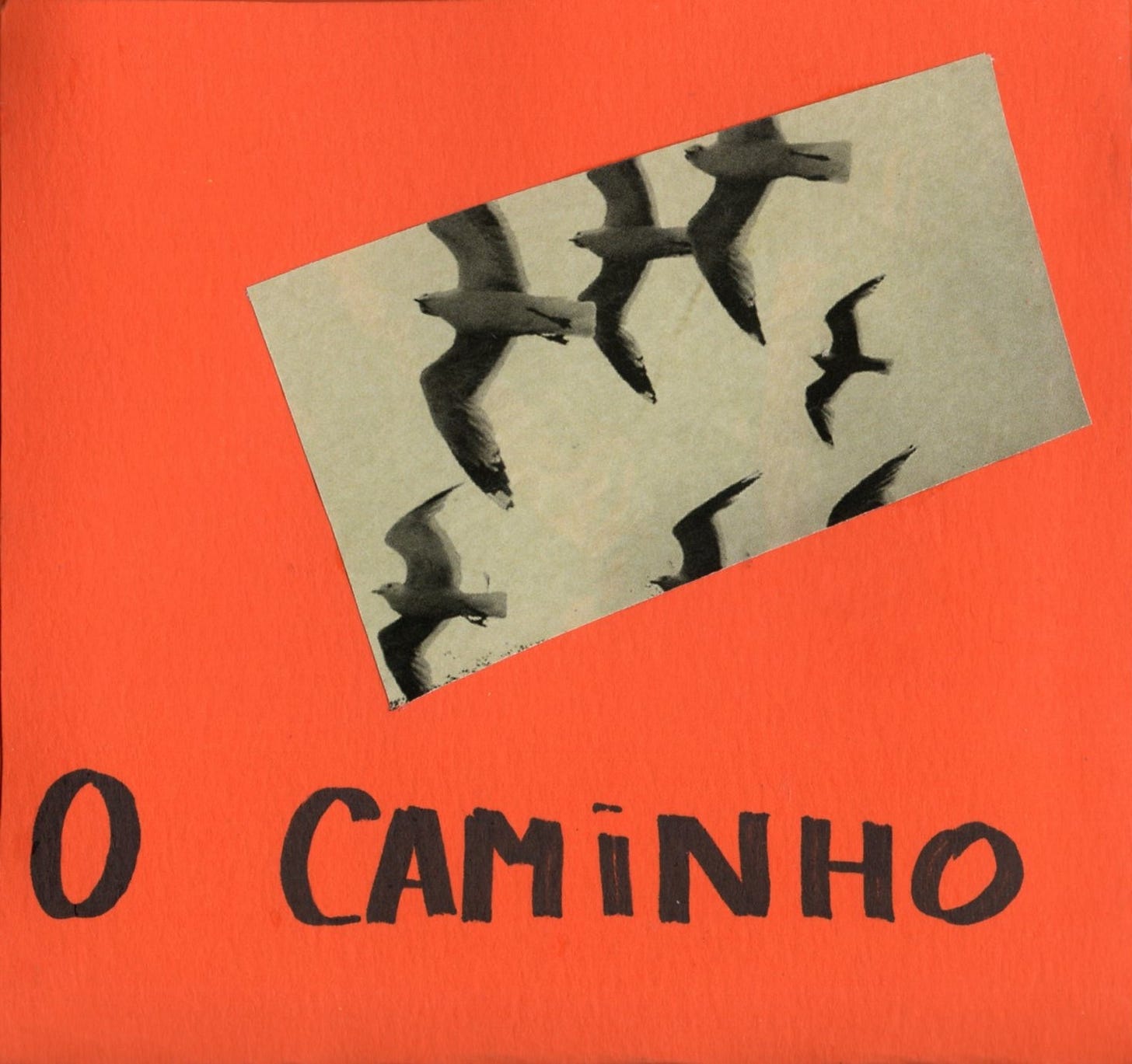 quadrado laranjão. colado meio tortinho uma foto em pb de pássaros (acho que águias ou gaviões?) voando no céu. embaixo tá escrito com a minha letra meio torta também: O CAMINHO