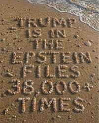 Our current president is afraid of seashells.
