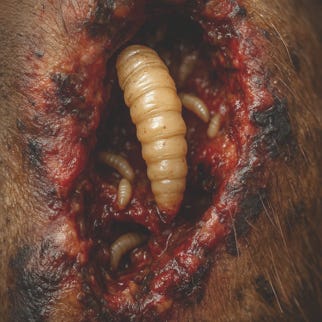 pastedGraphic_12.png pastedGraphic_12.png