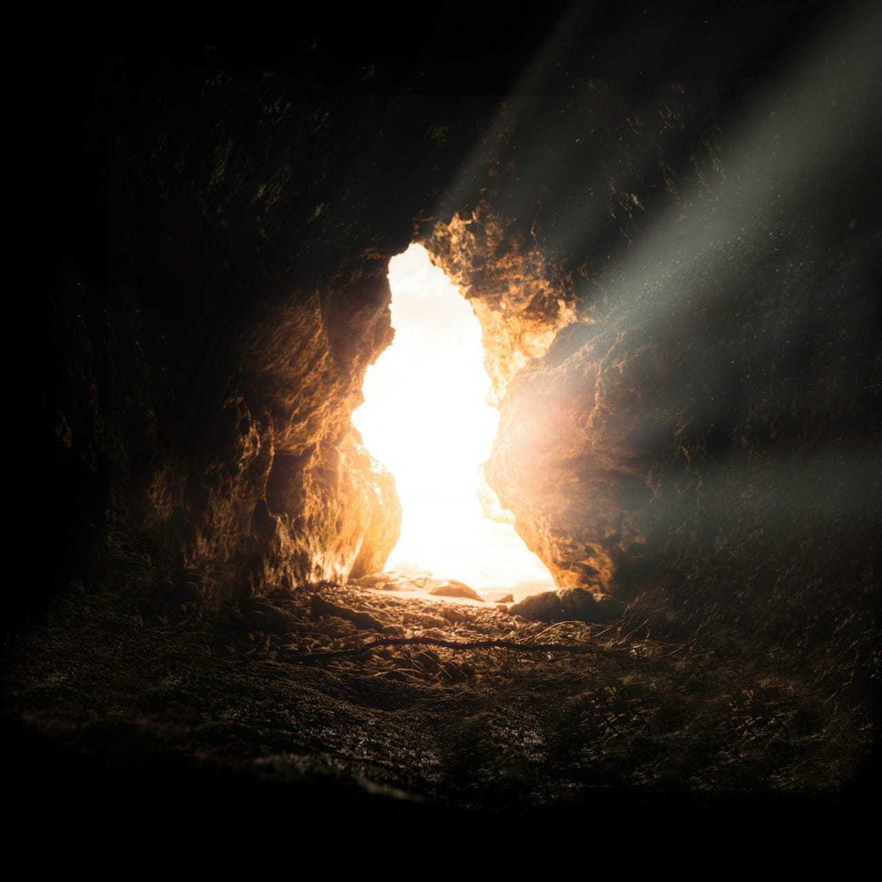 In the Light of Truth