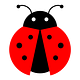 Bay State Ladybug