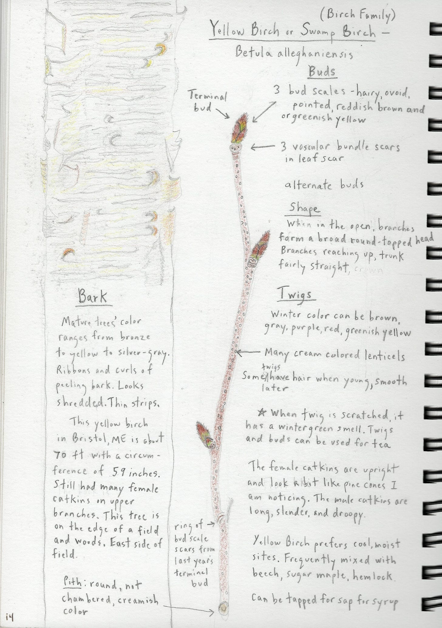 MMNP notebook - Heather Hardy