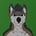 Nylo El Lobo's avatar