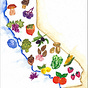 The California Table