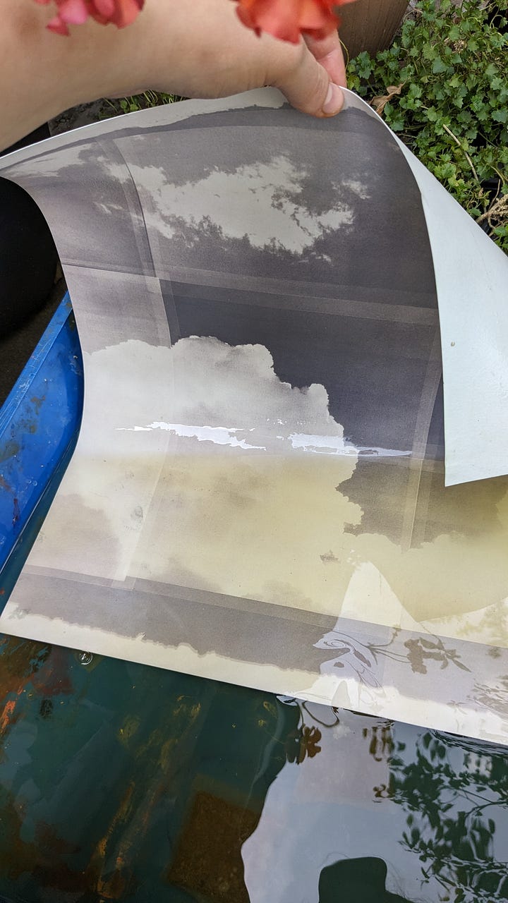 green tea toned cyanotype process