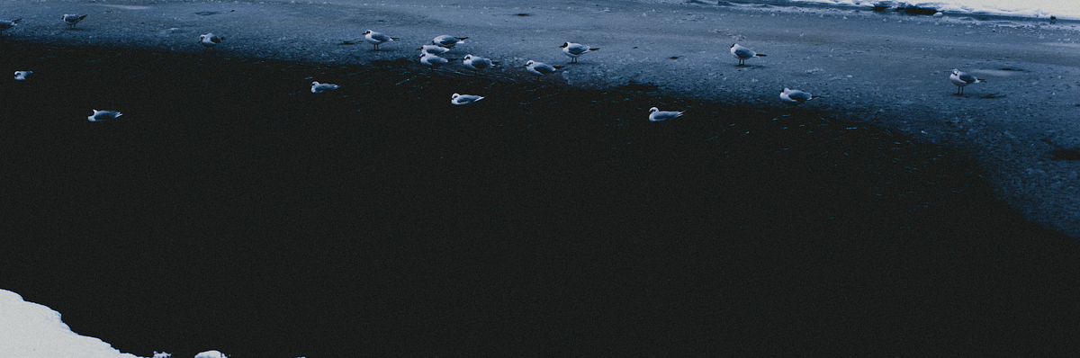 Substack banner for @brouhaha