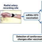 Neue Paper zu Herzschäden durch modRNA-Injektionen / das Spike-Protein