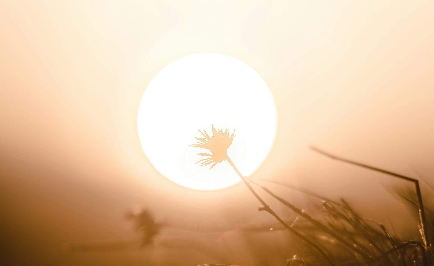 sun and landscape