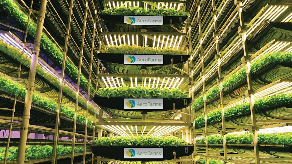 The world's largest indoor vertical farm is addressing food inequity -  ABC11 Raleigh-Durham