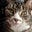 Lucy Mary Ann's avatar