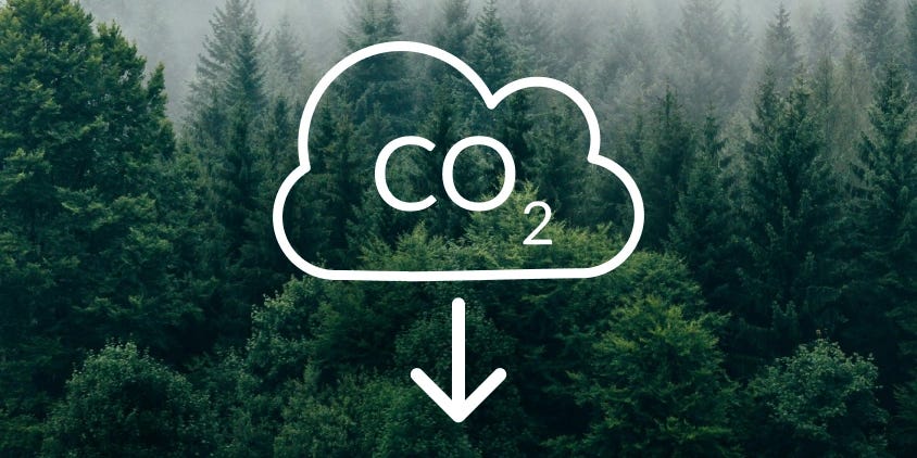 Carbon Sequestration: How It Works And Benefits The Ecology