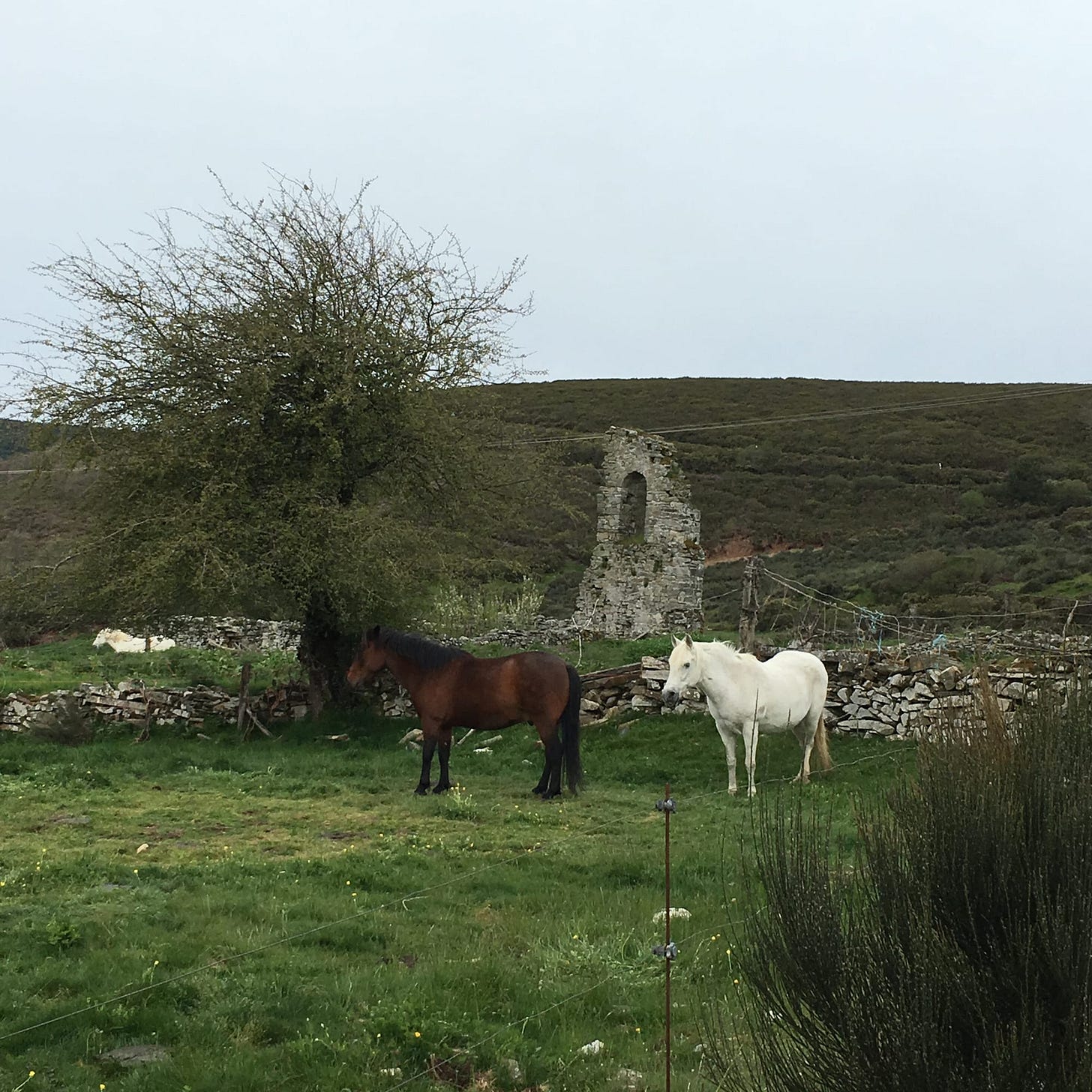 On Religion and Spirituality