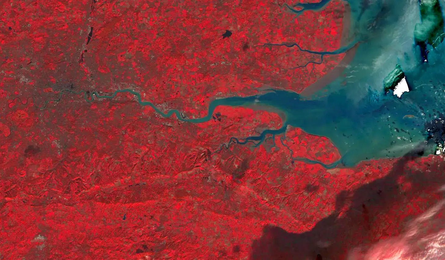 Near-Infrared